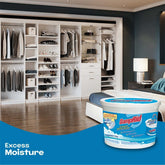 How to Absorb Excess Moisture: Is DampRid Moisture Absorber a Good Option?
