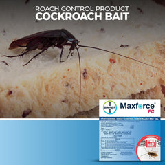 Maxforce FC Roach Bait Gel: Pro Cockroach Killer & Colony Eliminator
