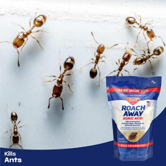 Enoz Odorless Multi-Insect Killer Powder - Roach & Ant Control - 24oz