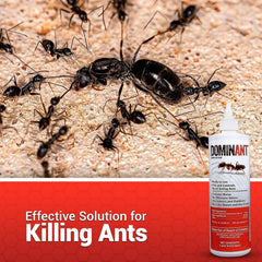 Sugar Ant Killer Liquid Bait – Indoor/Outdoor Colony Elimination – 16 Oz