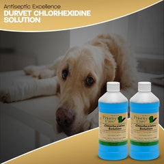 Centaurus AZ 2% Chlorhexidine Antiseptic- 16 oz - Pet Skin Health (2-Pack)