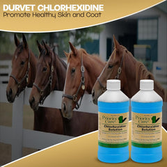 Centaurus AZ 2% Chlorhexidine Antiseptic- 16 oz - Pet Skin Health (2-Pack)