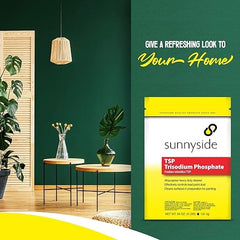 Centaurus AZ TSP: Heavy-Duty Cleaner, Paint Remover & Degreaser -4LB