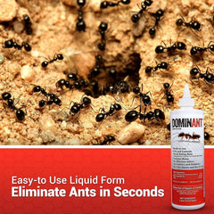 Sugar Ant Killer Liquid Bait – Indoor/Outdoor Colony Elimination – 16 Oz