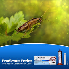 Maxforce FC Magnum Roach Killer Gel with Plunger & Tip - 33 G