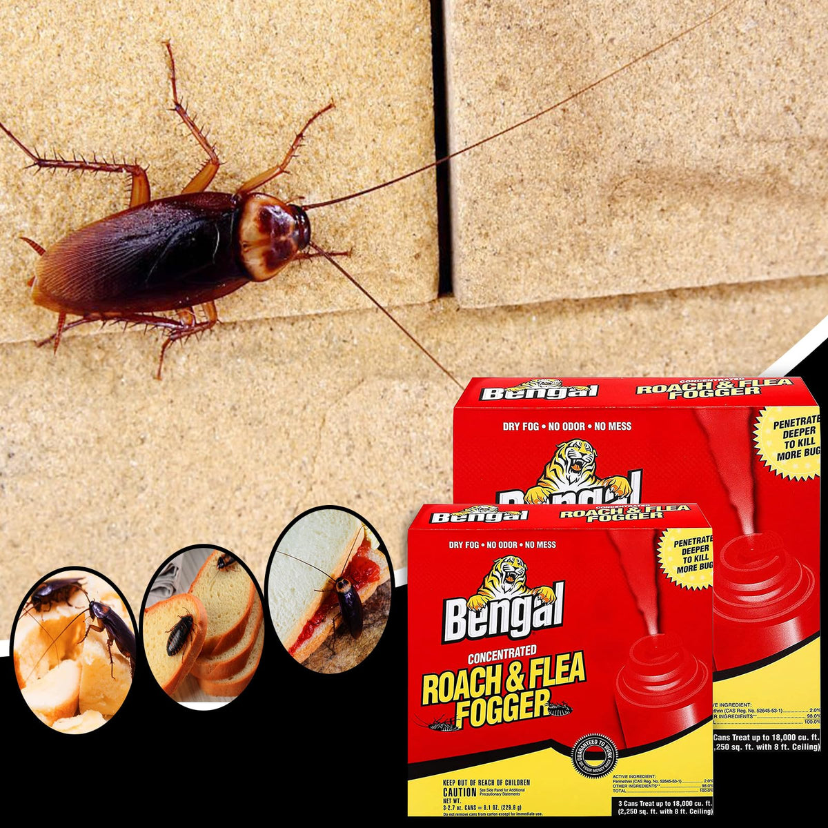 Bengal Concentrated Roach &Flea Fogger - Roach Killer Indoor