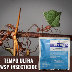 Tempo Ultra WSP: Pro Indoor-Outdoor Insecticide for Lasting Pest Control – 1.76 OZ