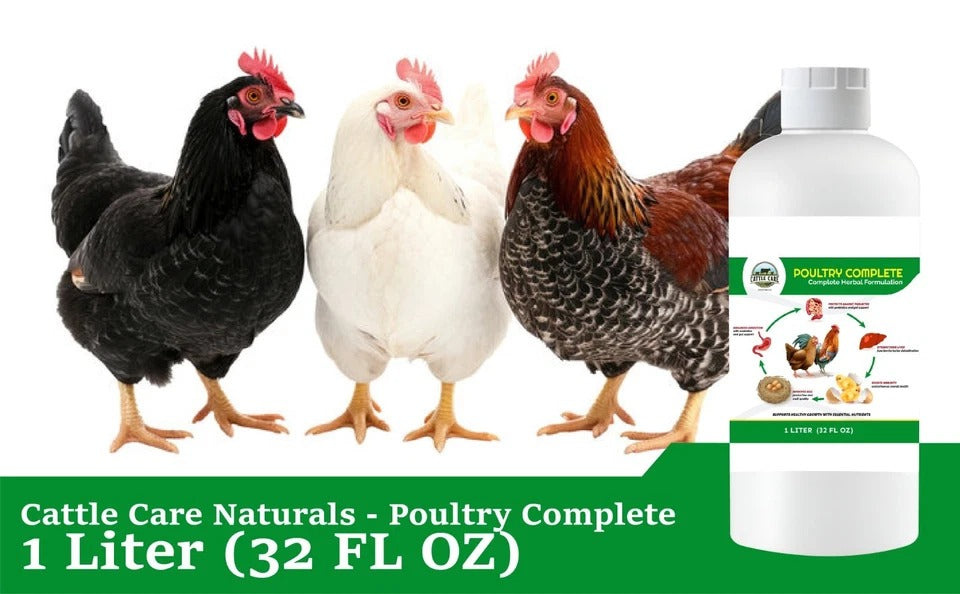 Organic Poultry Supplement – Immunity, Egg & Digestive Support – 32oz