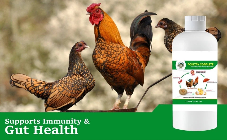 Organic Poultry Supplement – Immunity, Egg & Digestive Support – 32oz