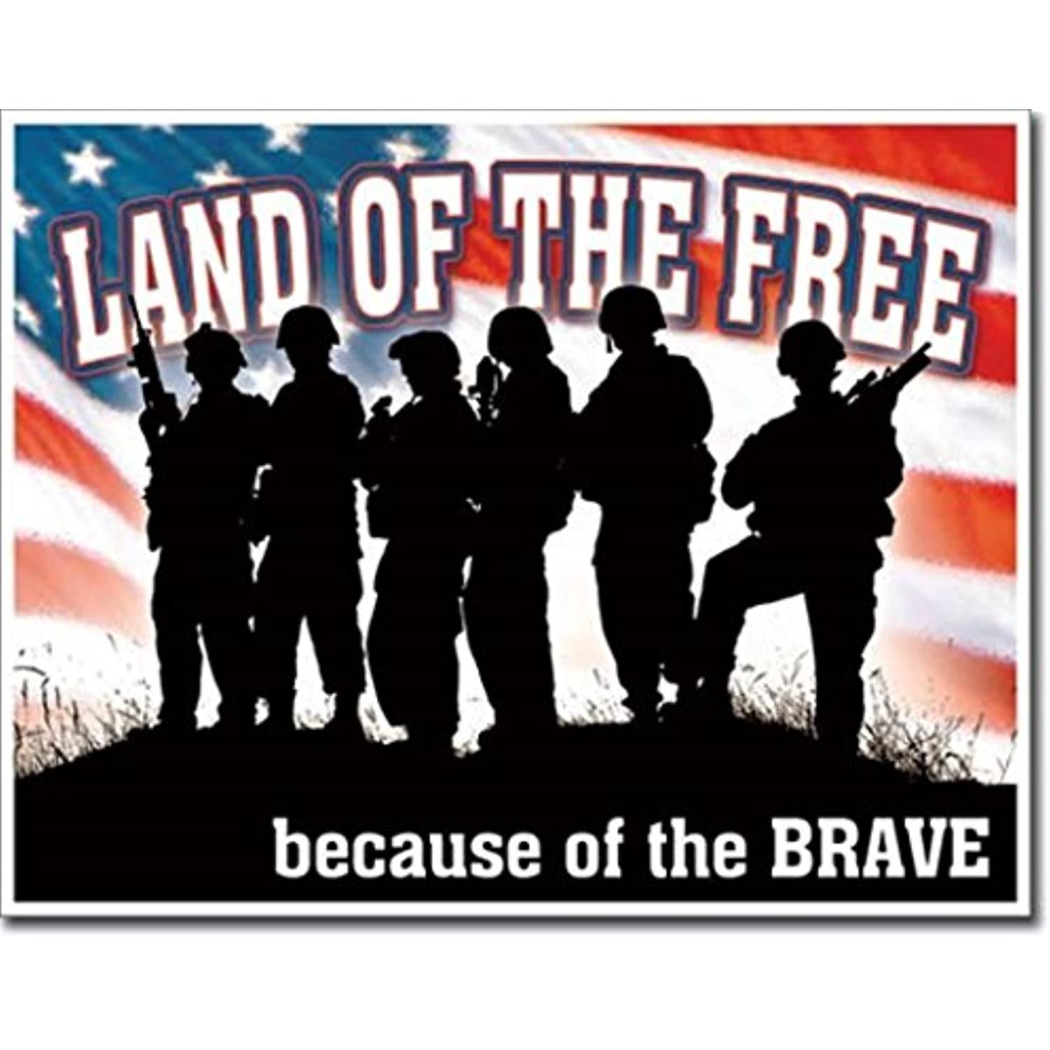Desperate Land of The Free Because of The Brave Military Veterans Tin Collectible Sign Gift